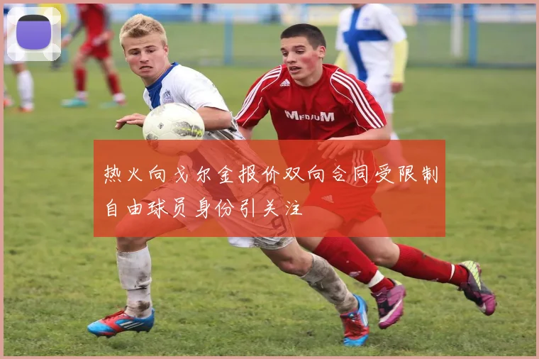 热火向戈尔金报价双向合同受限制自由球员身份引关注