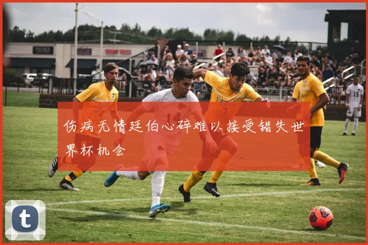 伤病无情廷伯心碎难以接受错失世界杯机会