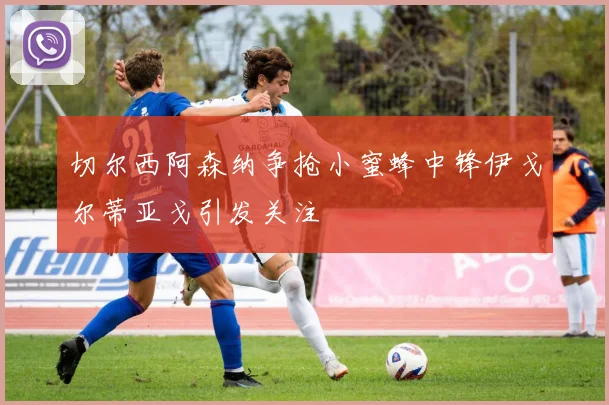 切尔西阿森纳争抢小蜜蜂中锋伊戈尔蒂亚戈引发关注