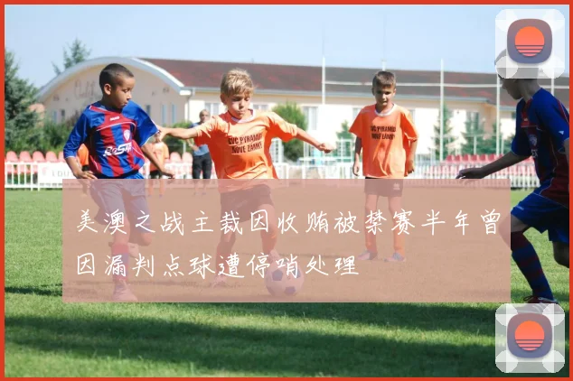 美澳之战主裁因收贿被禁赛半年曾因漏判点球遭停哨处理